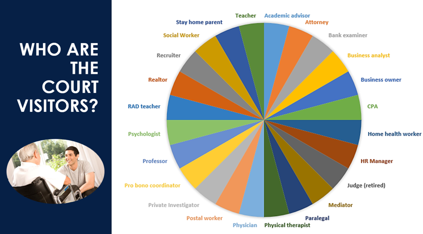 graphic showing the different professions of court visitors