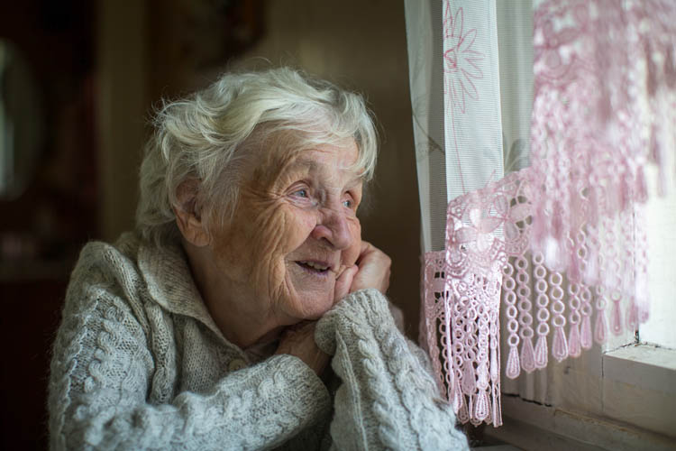 A gray-haired elderly woman sits and looks out the window.